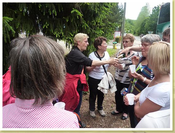 Provins_Marche (34)
